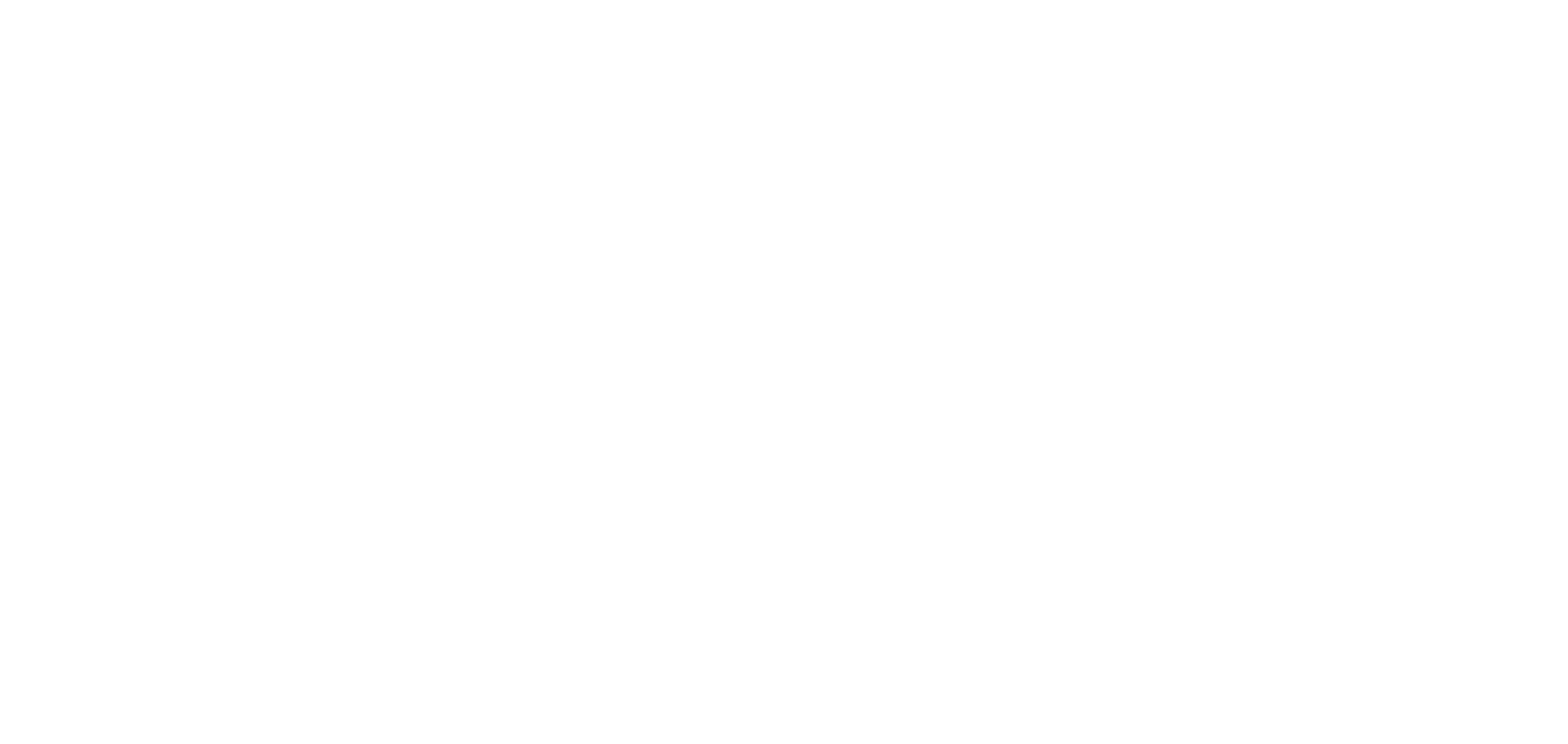 Intel Cann Co